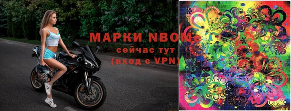 крисы Алзамай