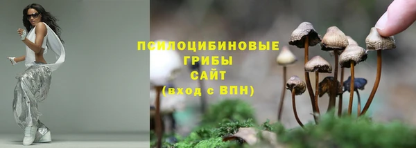 ешки Алексеевка