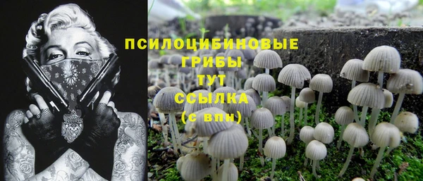 ешки Алексеевка
