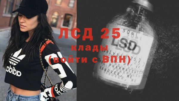 крисы Алзамай