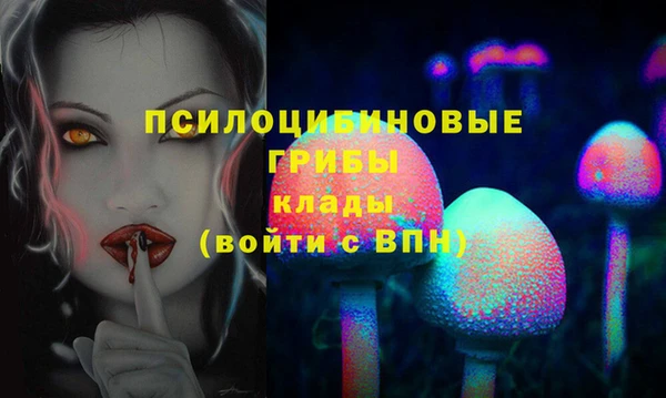 крисы Алзамай