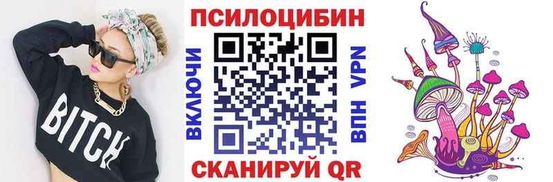 Псилоцибиновые грибы ЛСД  дарнет шоп  Алупка 